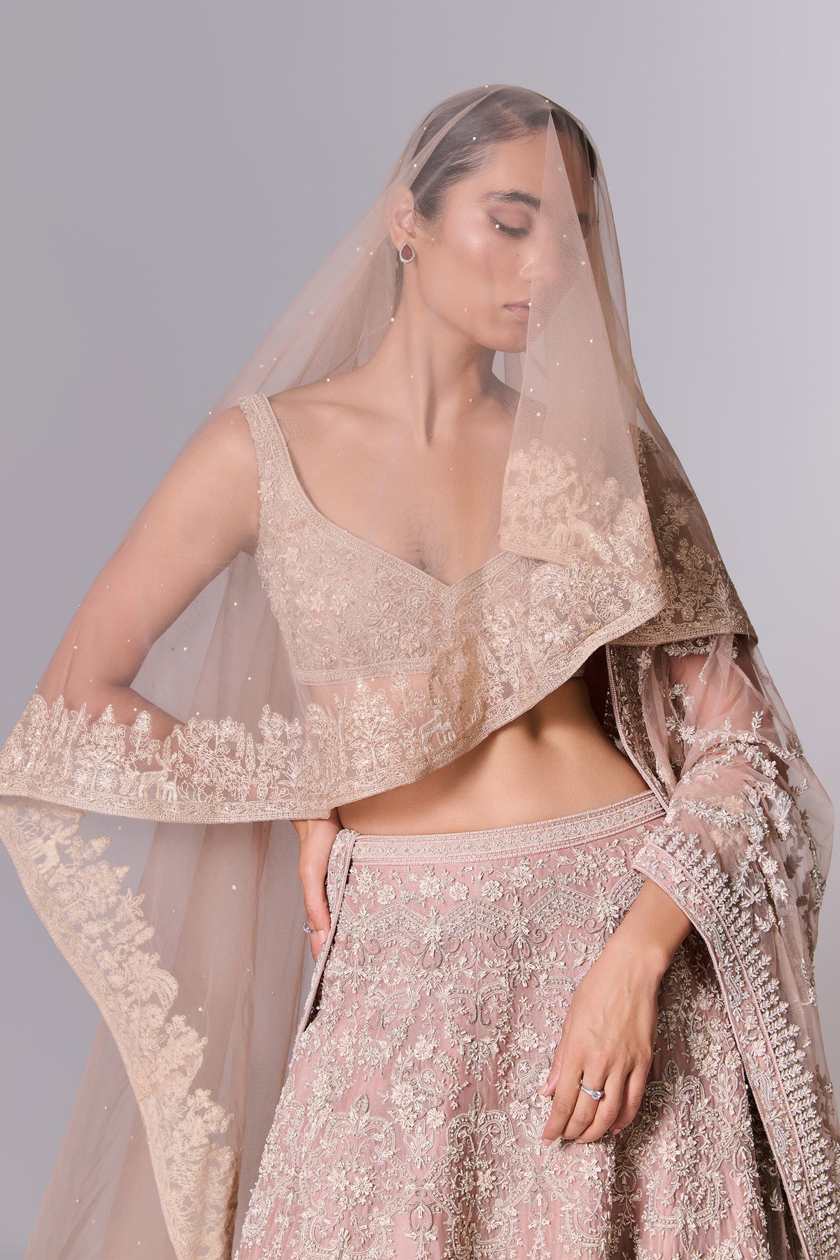 Dusty Blush Embellished Lehenga Set