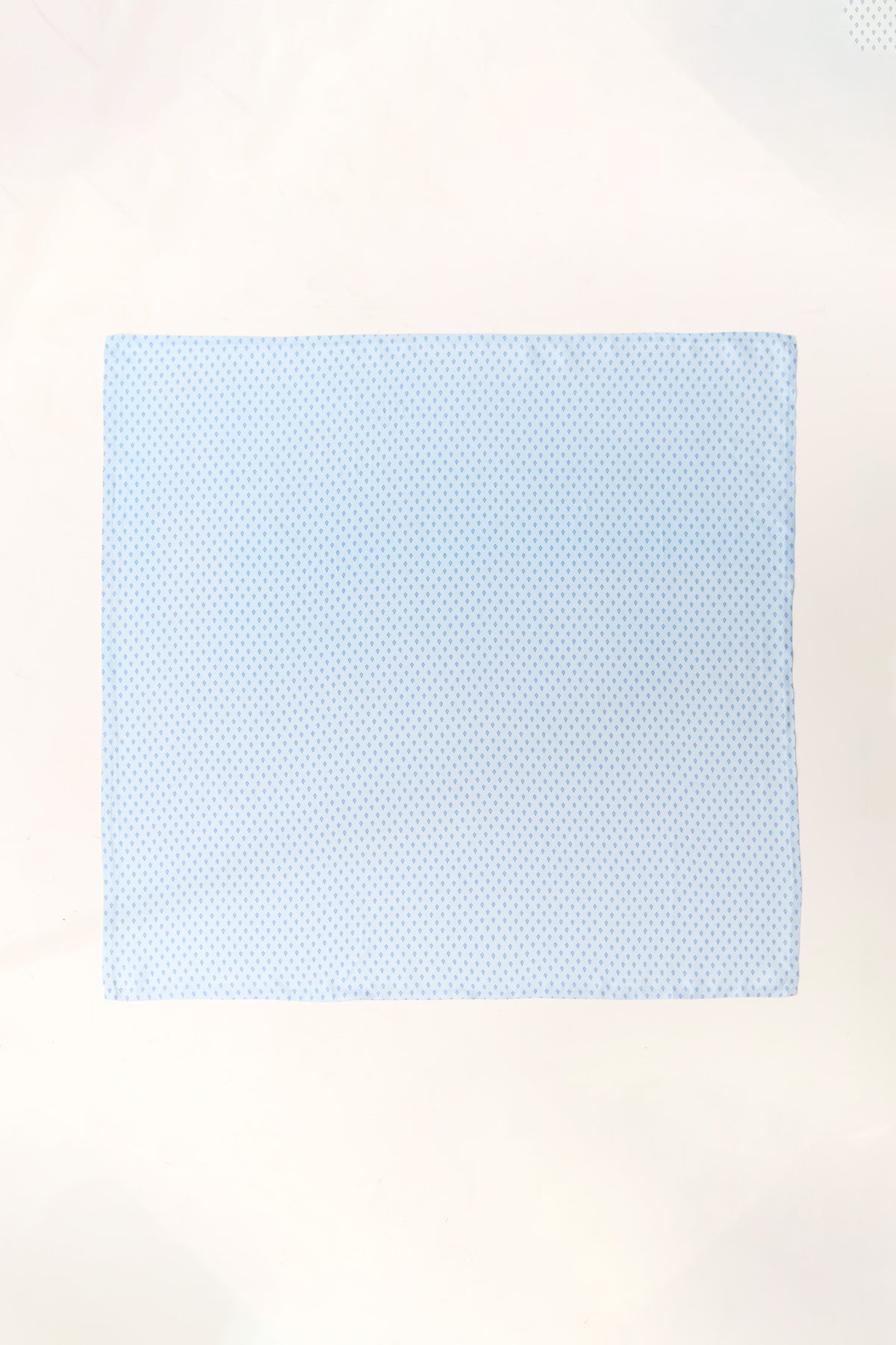 Light Blue Adamas Silk Scarf