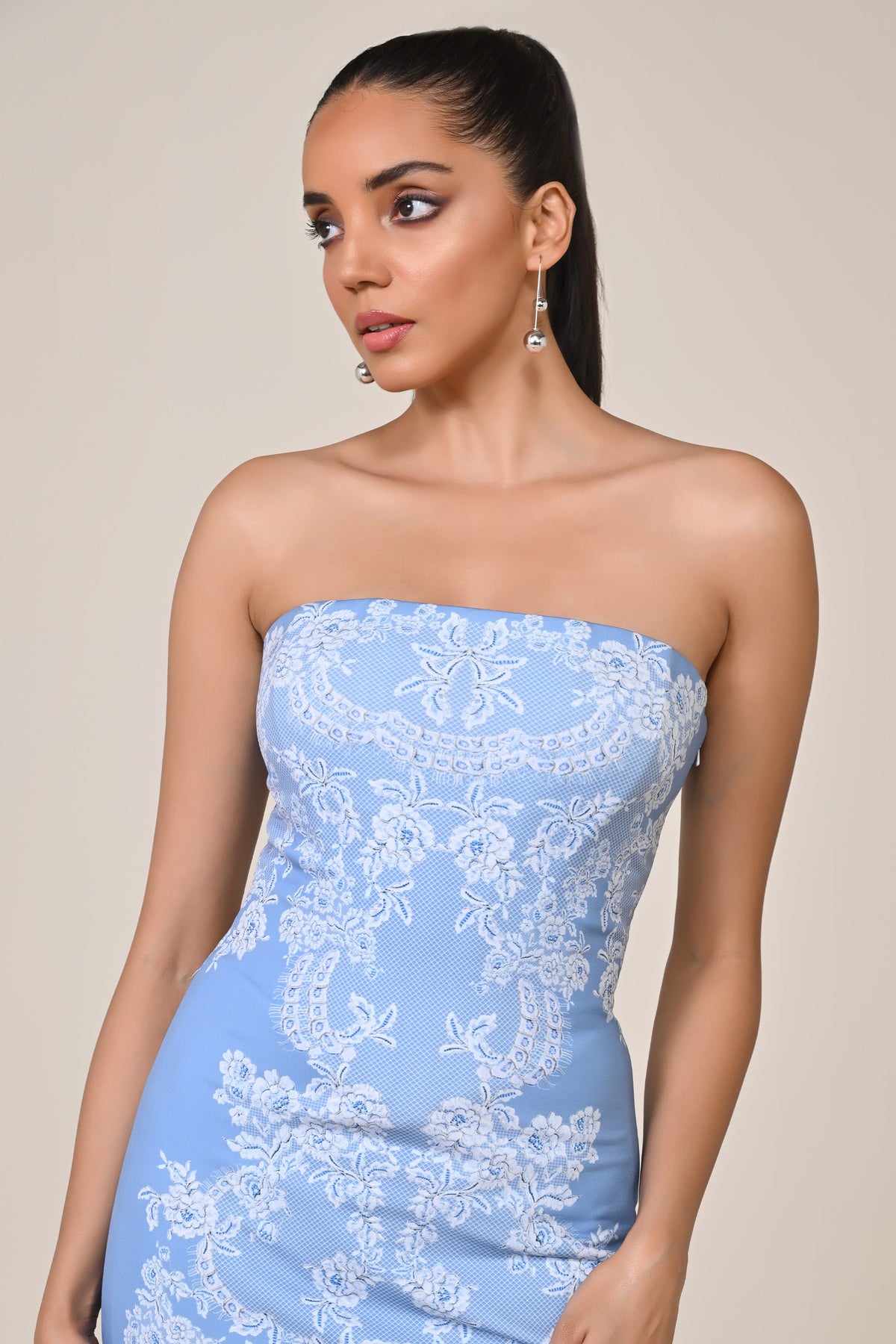 Blue Acanthus Printed Dress
